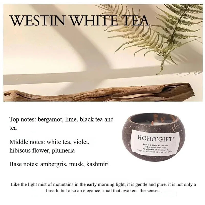 S95e99560da934e75b2d0729e9ea6c072e